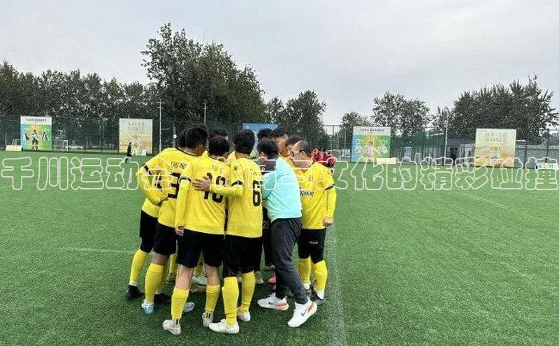 非凡官网登录入口