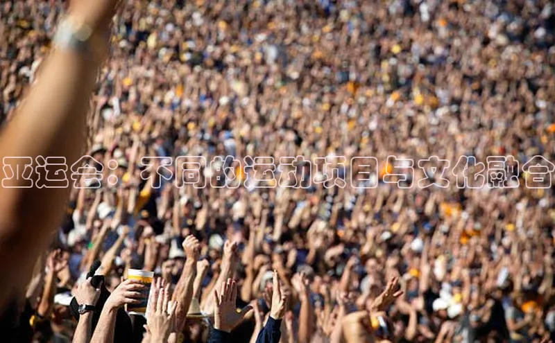 非凡官网登录入口