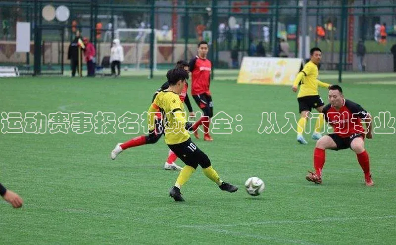 非凡游戏app官网进入